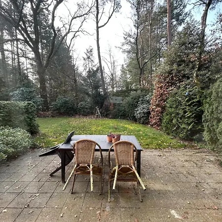 Heerlijk Knus In Het Bos *