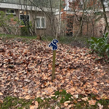 Heerlijk Knus In Het Bos Feriehus