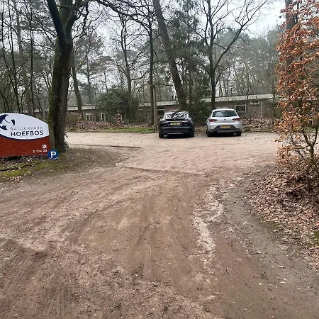 Heerlijk Knus In Het Bos Feriehus