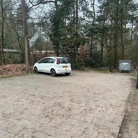 Heerlijk Knus In Het Bos