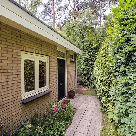 Heerlijk Knus In Het Bos *