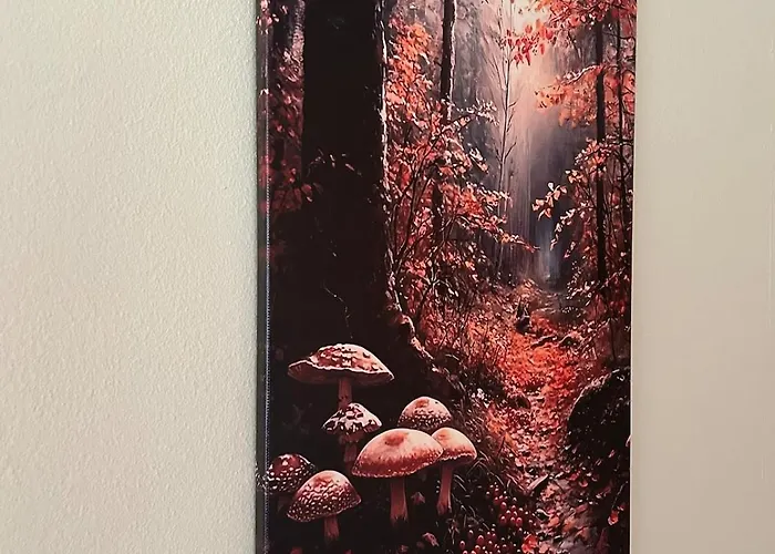 Heerlijk Knus In Het Bos