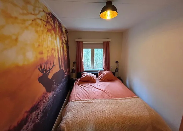 Heerlijk Knus In Het Bos *