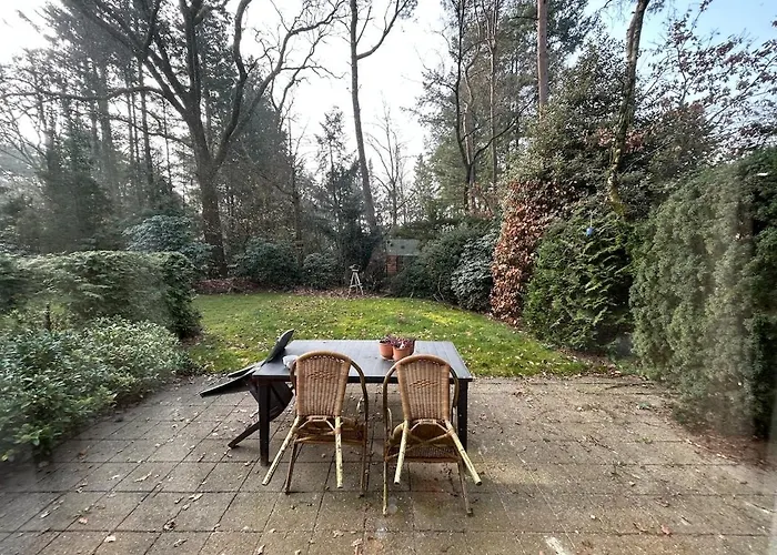 Heerlijk Knus In Het Bos *