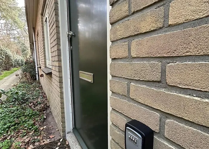 Heerlijk Knus In Het Bos