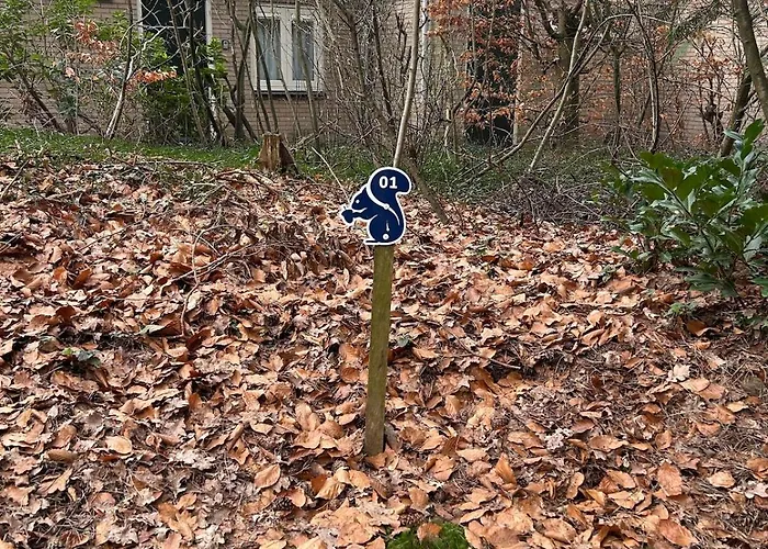 Heerlijk Knus In Het Bos بيت للعطل