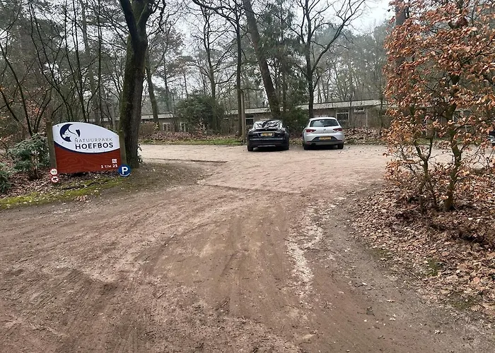 Heerlijk Knus In Het Bos Holiday home