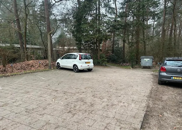 Heerlijk Knus In Het Bos