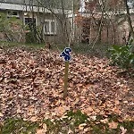Heerlijk Knus In Het Bos Дом отдыха